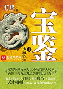 打眼《寶鑒》 首發(fā)網(wǎng)站：起點中文網(wǎng) 《寶鑒》是打眼繼《黃金瞳》《神藏》之后創(chuàng)作的又一部都市類小說。小說人設(shè)頗有特色，可以說三教九流、五行八作，無所不有。作者比較熟悉古董與相術(shù)方面的專業(yè)知識，并在作品中較好地發(fā)揮了這一優(yōu)勢。故事新穎，情節(jié)生動，語言流暢，是一部有特色、有個性的優(yōu)秀小說。