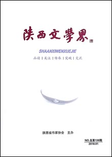 《陜西文學(xué)界》 《陜西文學(xué)界》是與中央級文化單位、全國各省文聯(lián)、作協(xié)交流，覆蓋陜西省、市、縣政界主要領(lǐng)導(dǎo)和文聯(lián)負(fù)責(zé)人、省內(nèi)知名高校和大企業(yè)、全省作家的具有高端讀者群、影力廣泛的文學(xué)通訊、交流雙月內(nèi)刊，于1979年創(chuàng)刊，原名為《文學(xué)簡訊》，后更名為《陜西文學(xué)界》，16開80碼，內(nèi)容豐富……[詳細(xì)]