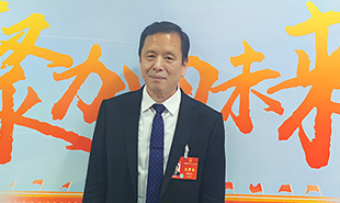 全國(guó)人大代表李敬澤